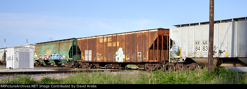 KYLE 24008